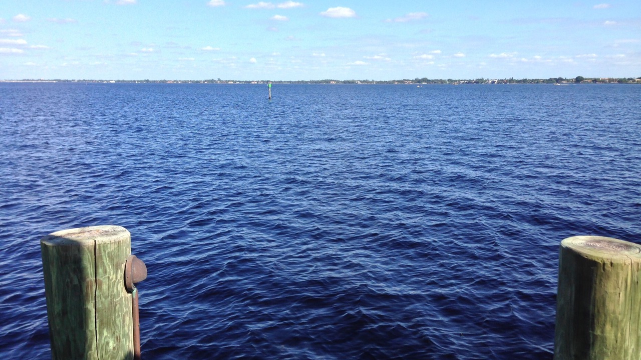 Photo of Others in Caloosahatchee