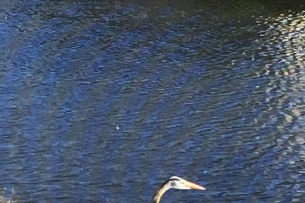 Photo of Others in Gateway