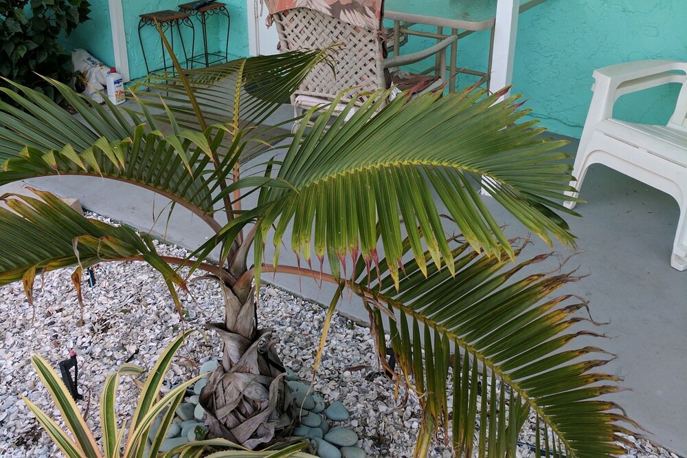 Photo of Patio Balcony in Whitney Beach
