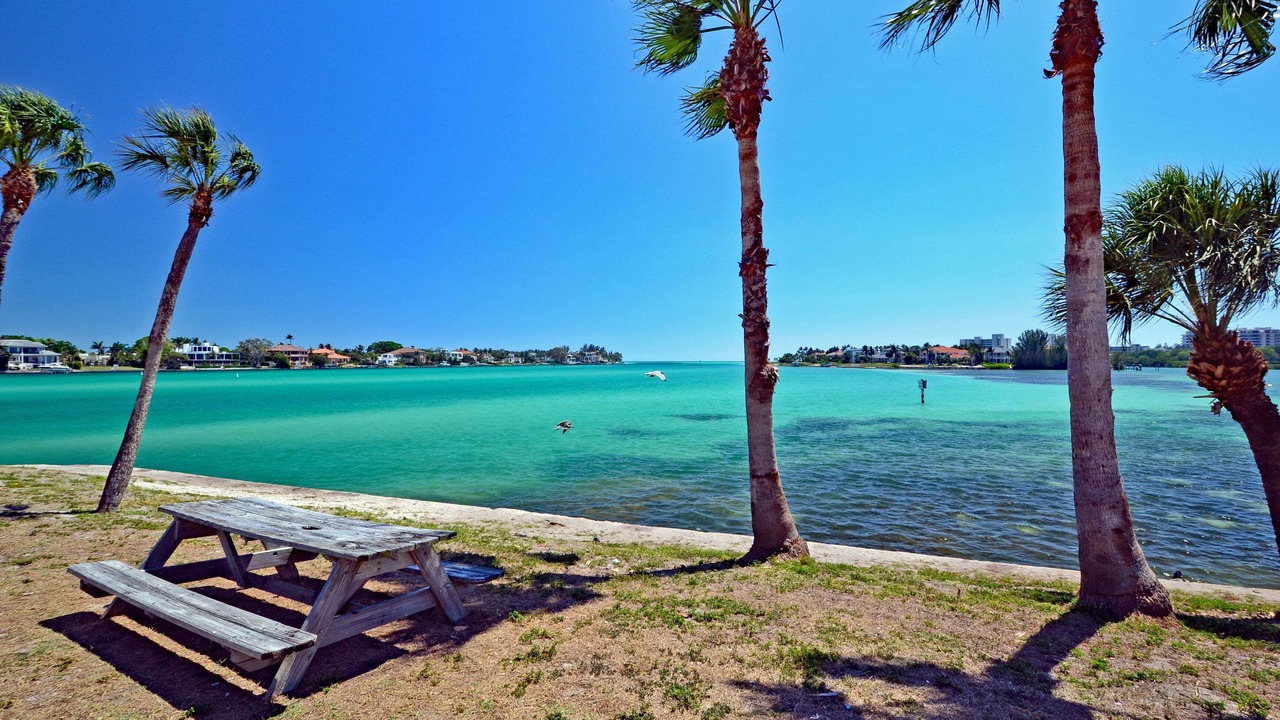 Photo of Others in Siesta Key