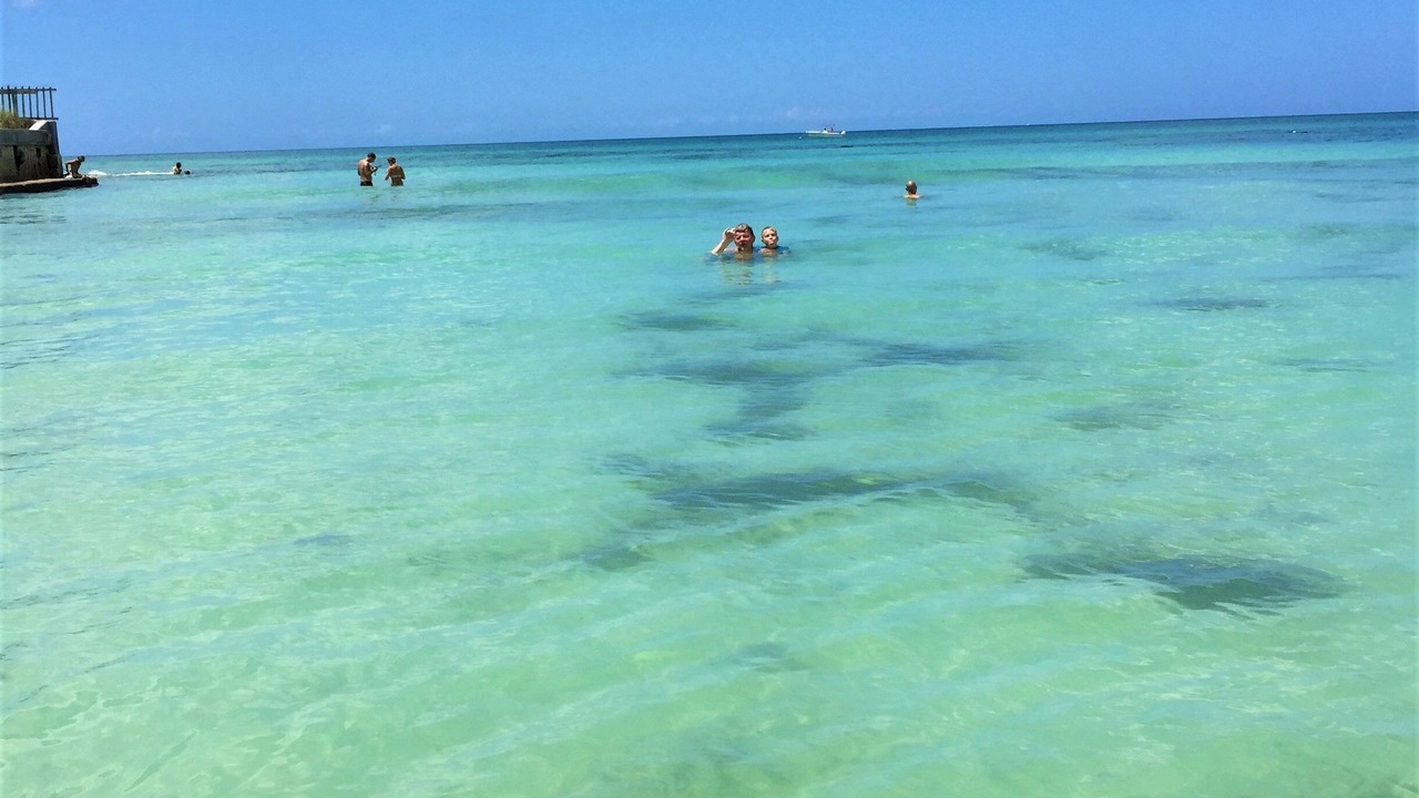 Photo of Others in Siesta Key