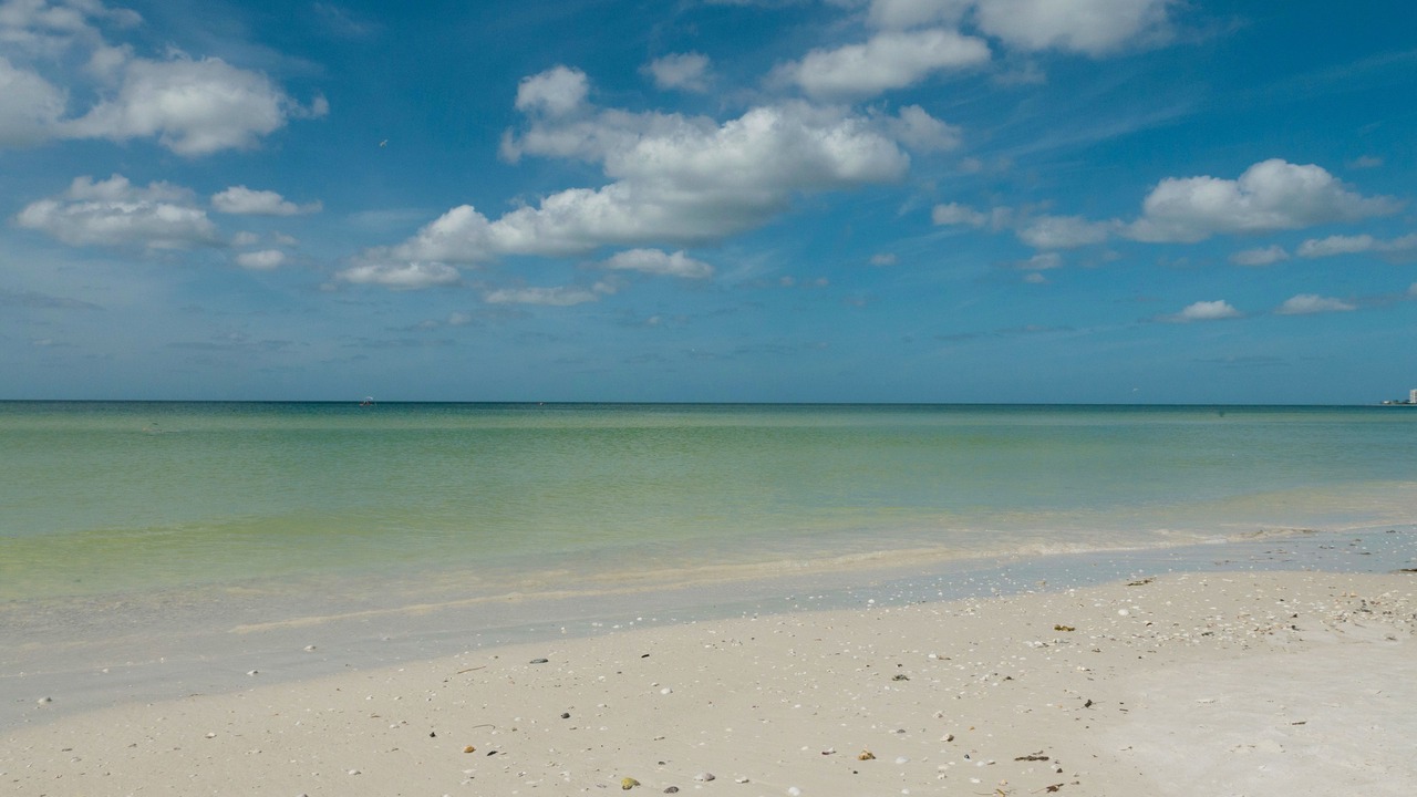 Photo of Others in Siesta Key