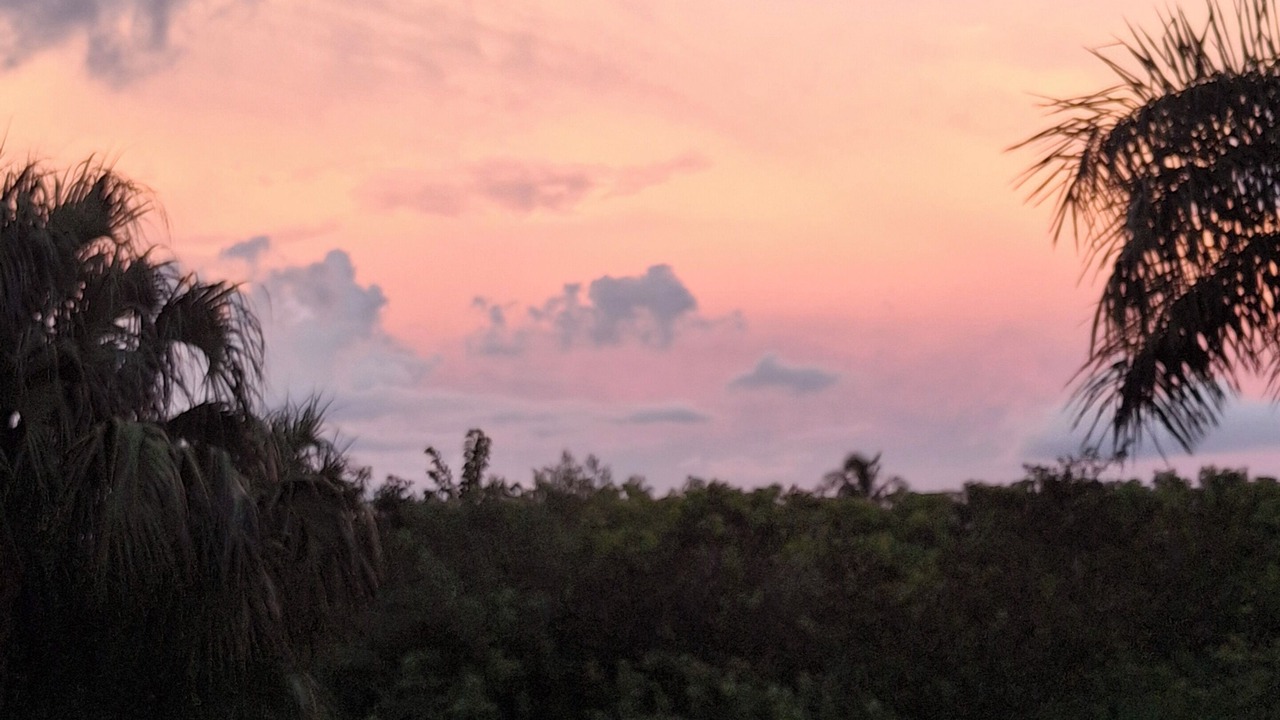 Photo of Outdoor in North Fort Myers