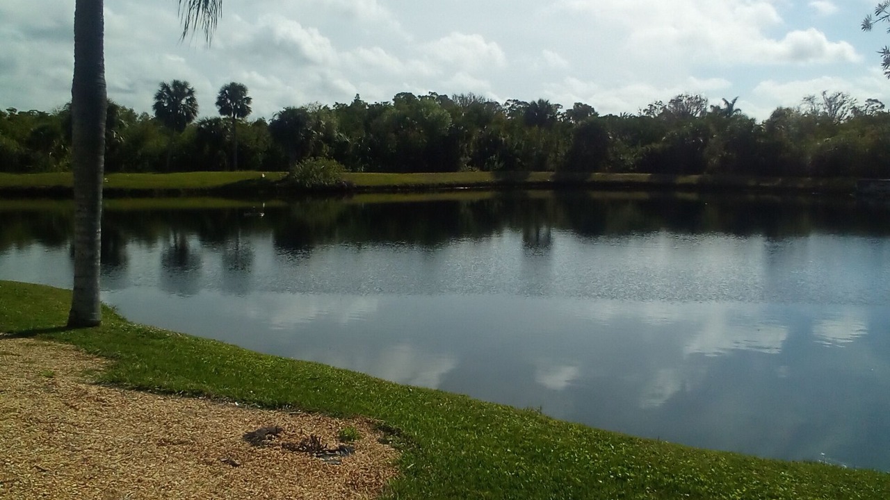 Photo of Outdoor in North Fort Myers