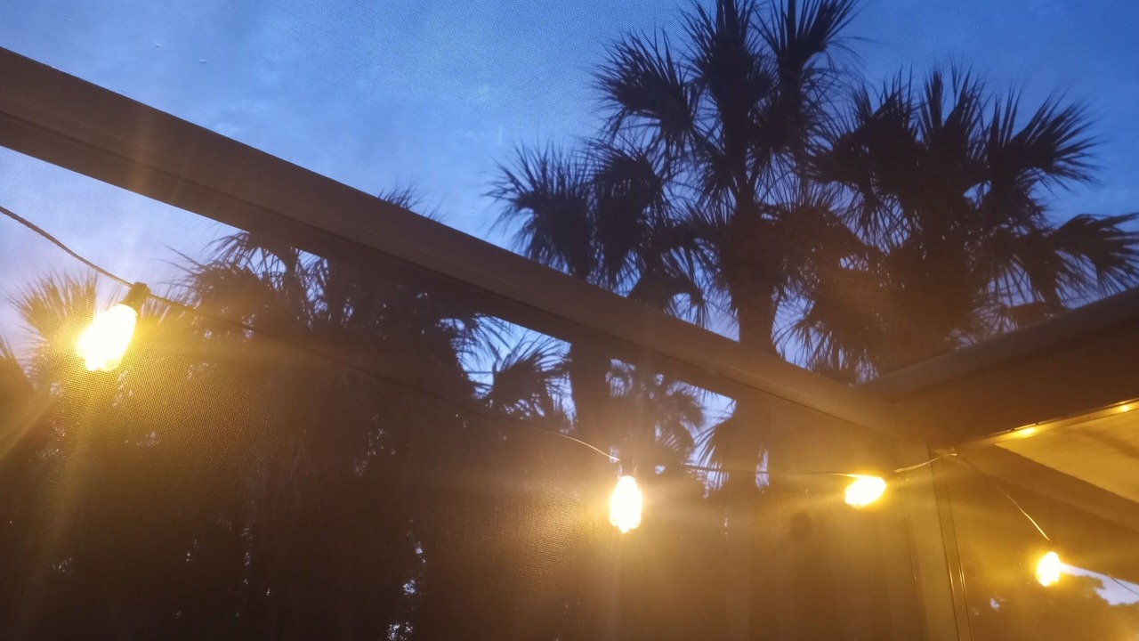 Photo of Others in North Fort Myers