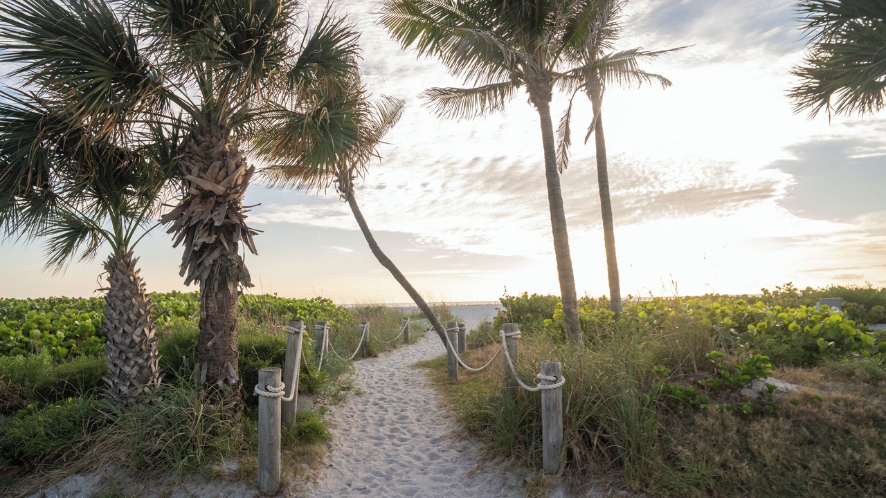 Photo of Others in Captiva