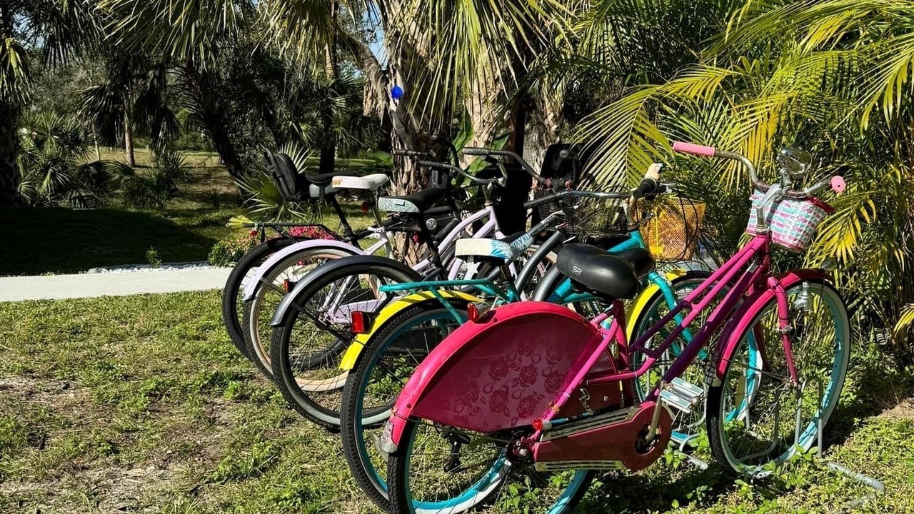 Photo of Outdoor in Port Charlotte