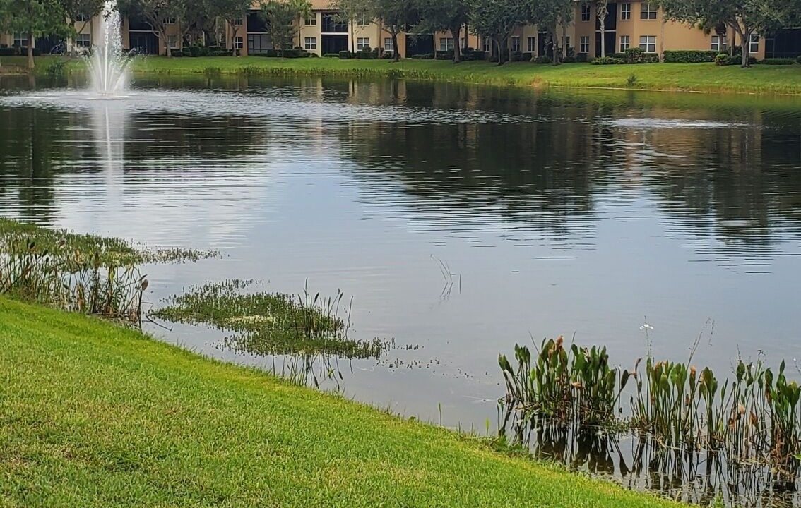 Photo of Outdoor in Estero