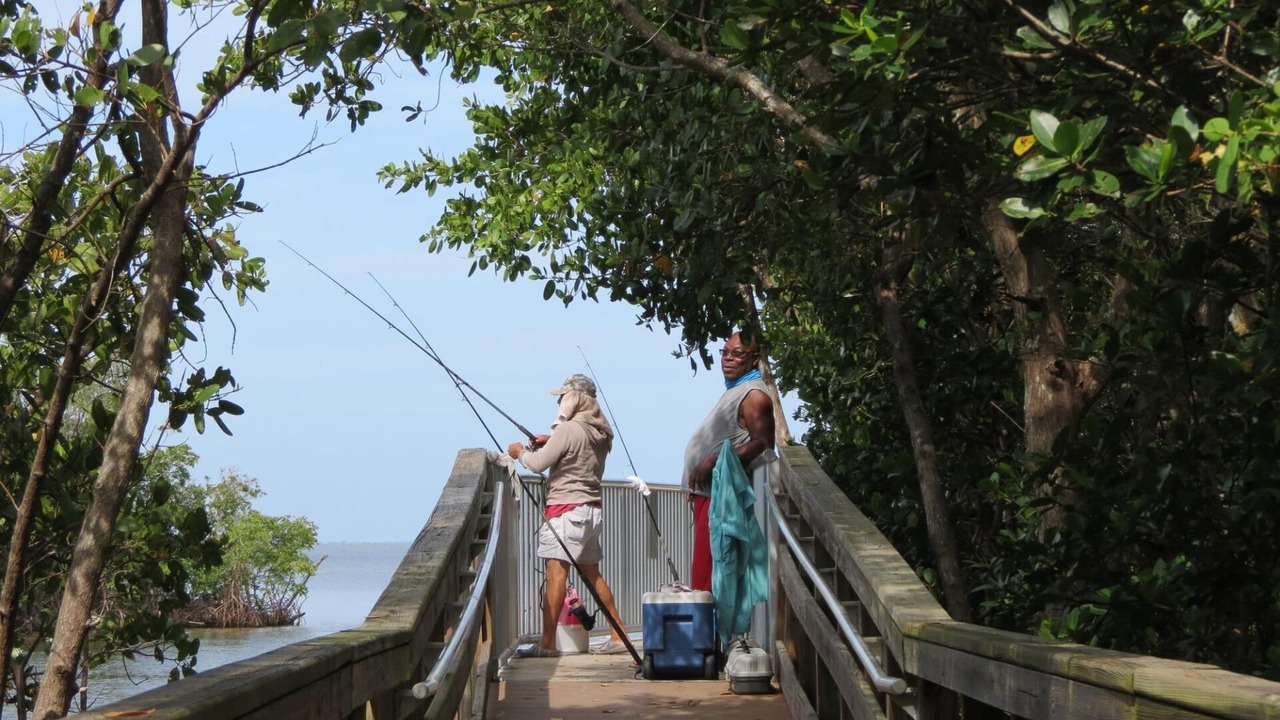 Photo of Outdoor in Charlotte Harbor