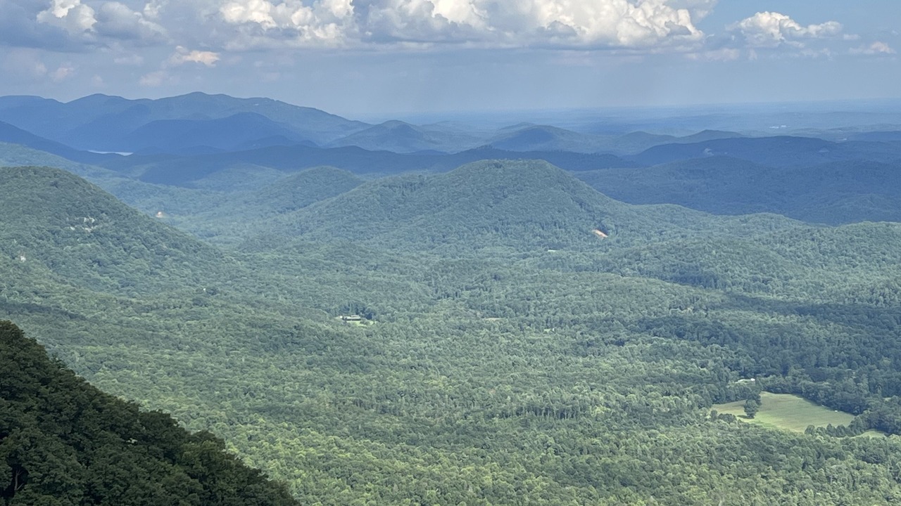 Photo of Others in Tigerville