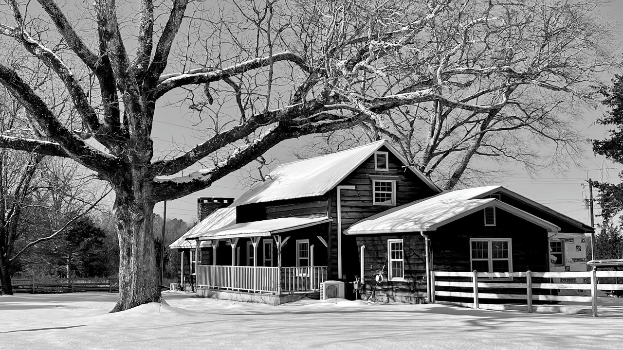 Photo of Outdoor in Roebuck