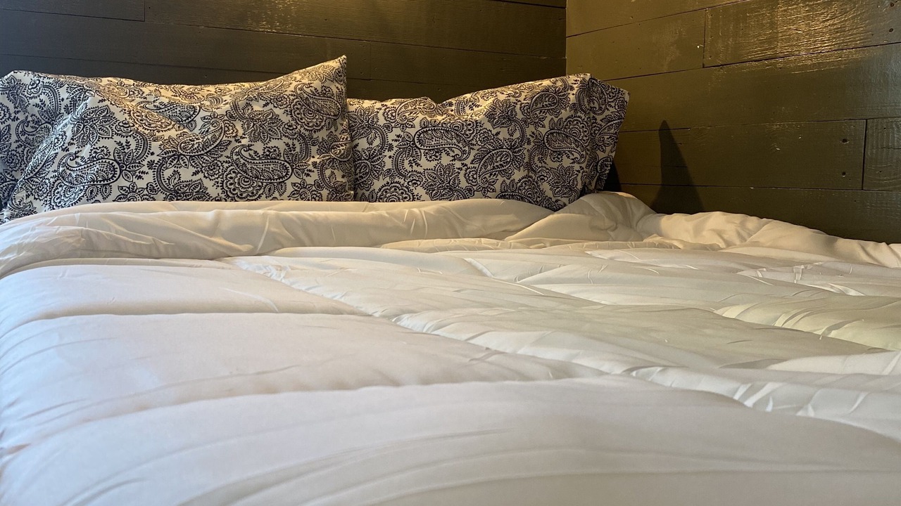 Photo of Bedroom in Roebuck