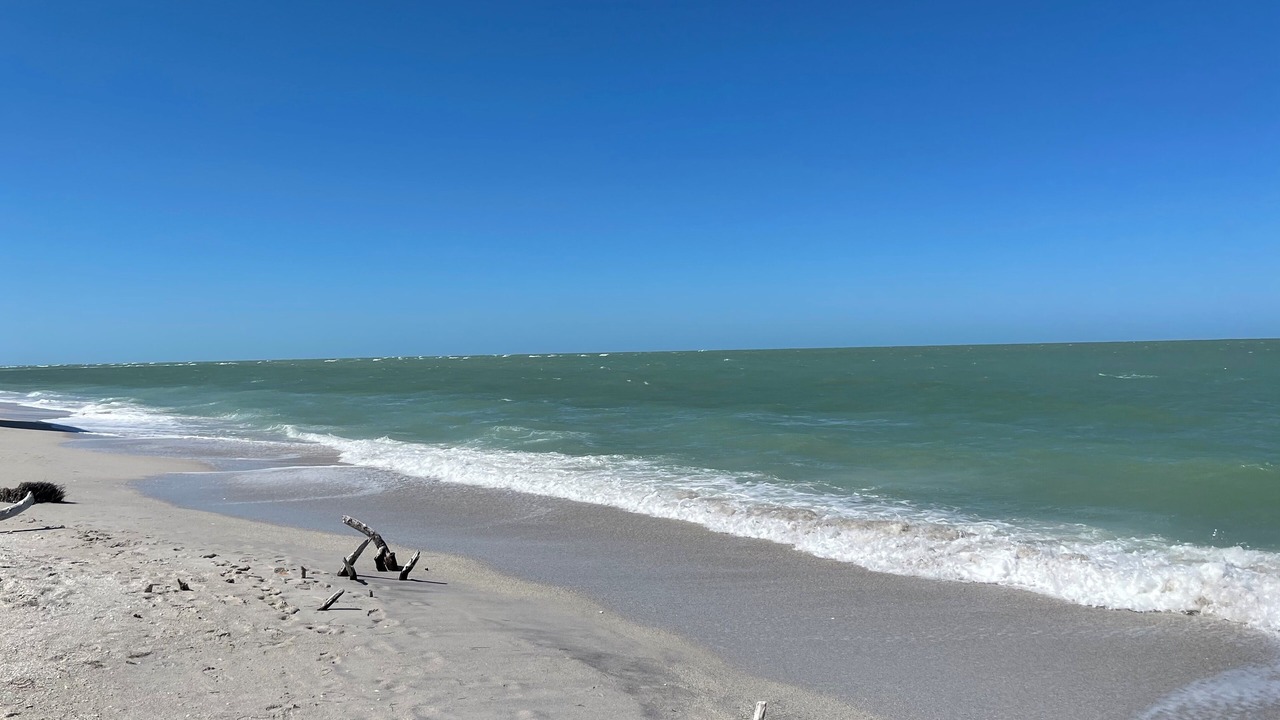 Photo of Others in North Captiva