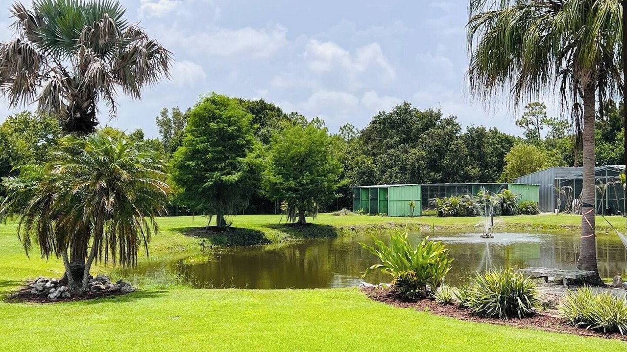 Photo of Outdoor in Punta Gorda