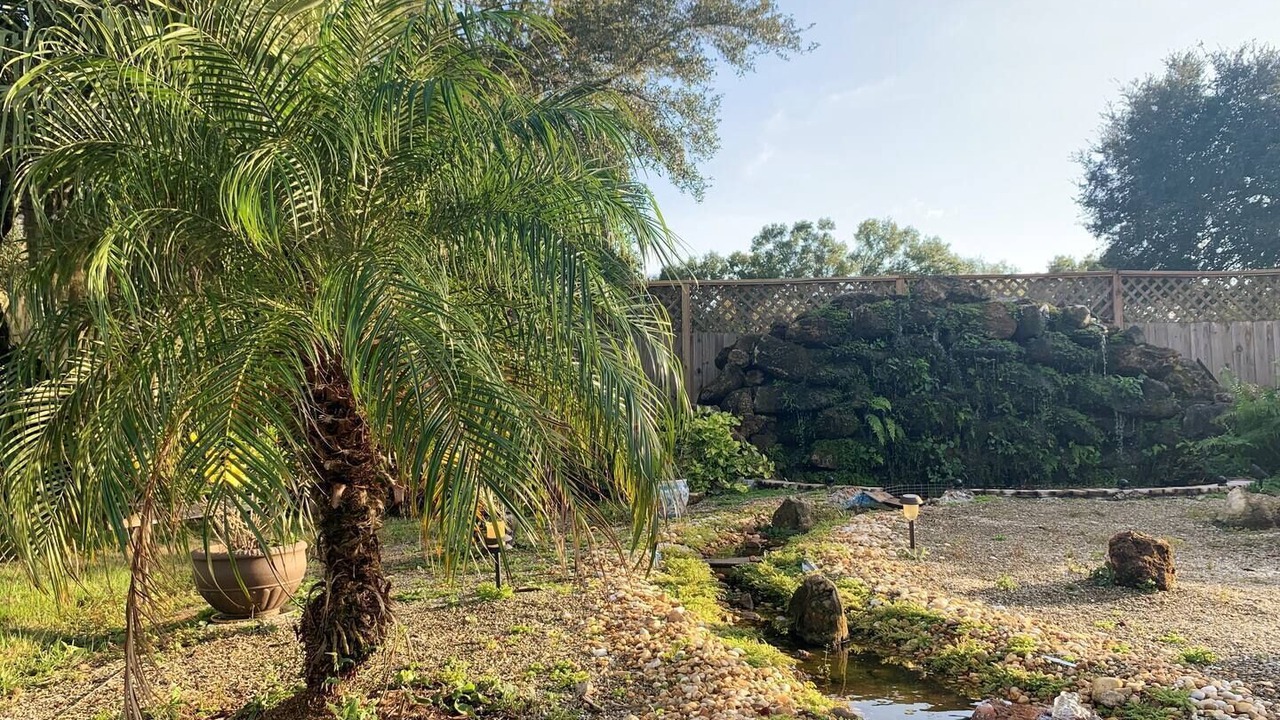 Photo of Outdoor in Punta Gorda
