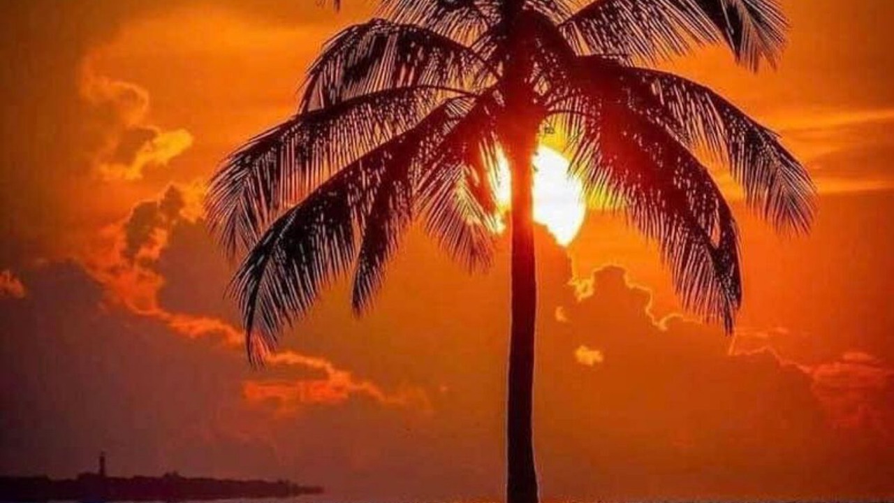Photo of Others in North Naples