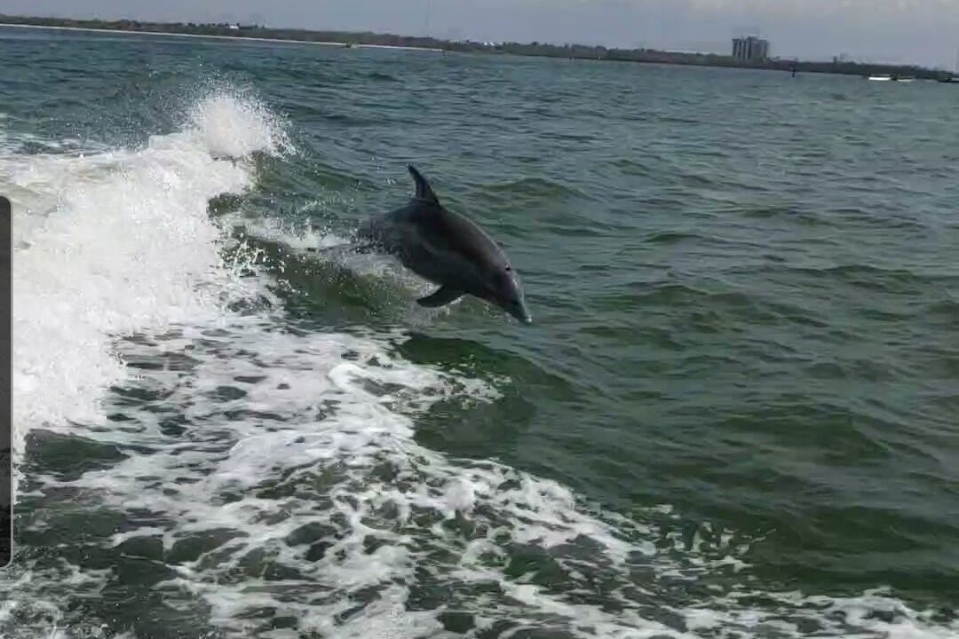 Photo of Others in Caloosahatchee
