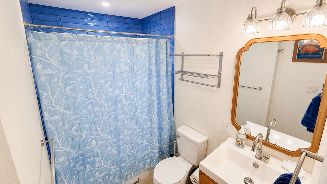 Photo of Bathroom in St. Pete Beach