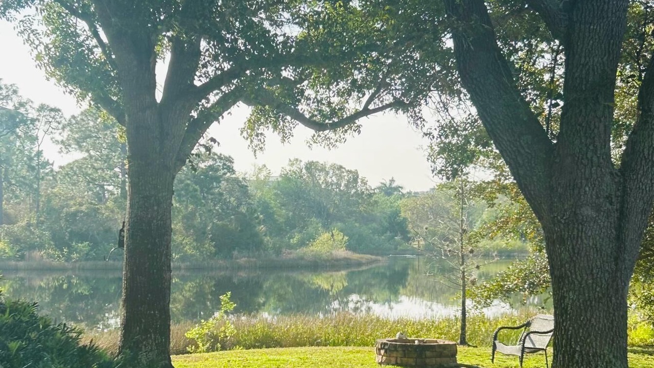 Photo of Outdoor in Bonita Shores