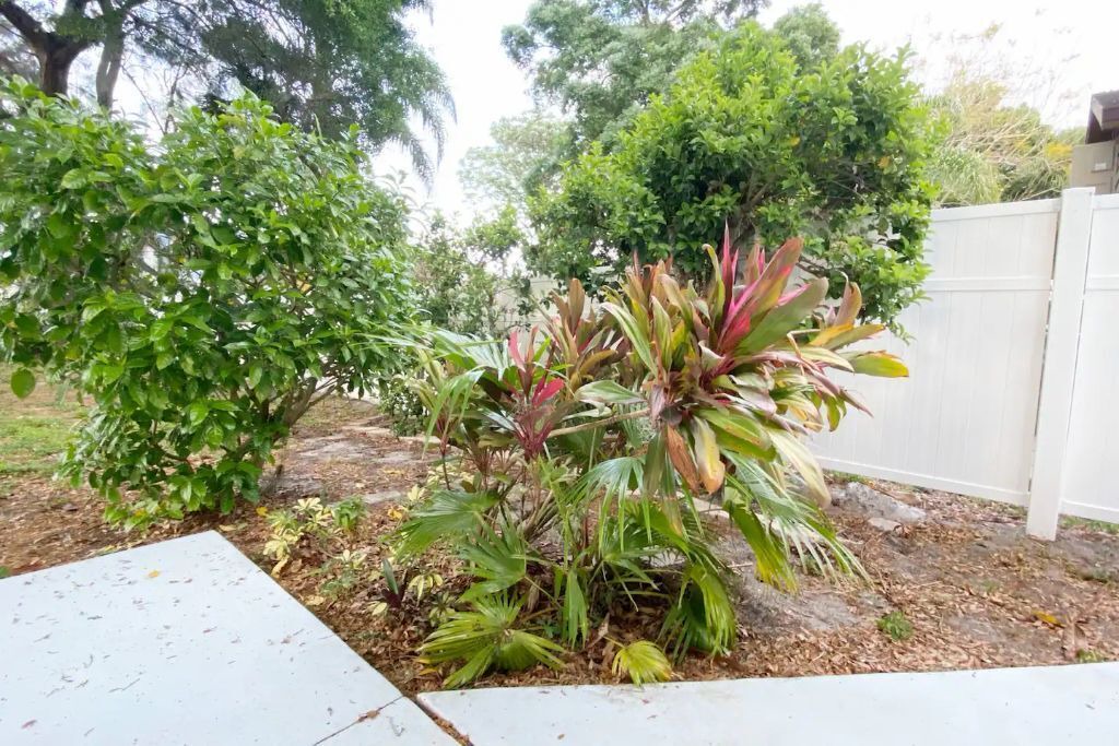 Photo of Outdoor in Alta Vista