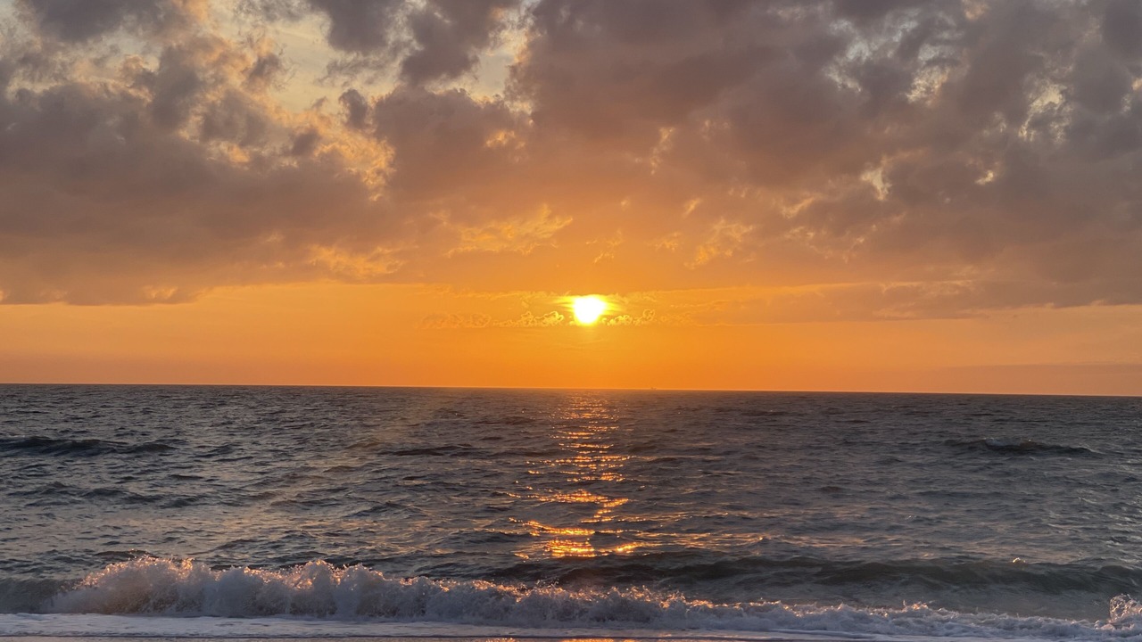 Photo of Others in Bonita Springs