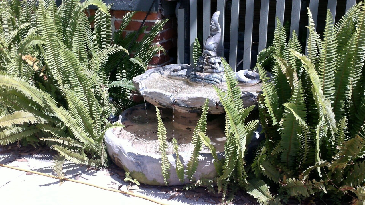 Photo of Outdoor in Arcadia Historic District