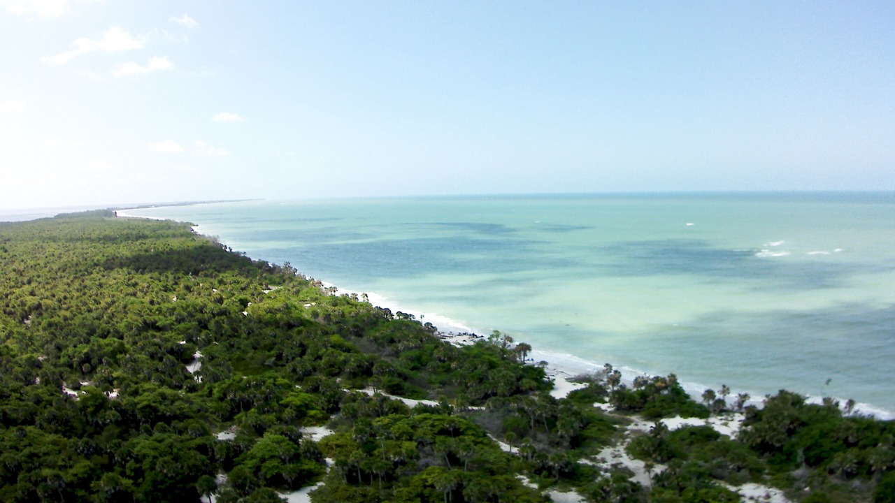 Photo of Others in North Captiva