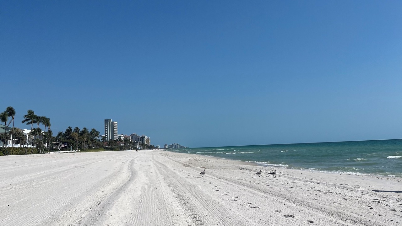 Photo of Others in Vanderbilt Beach