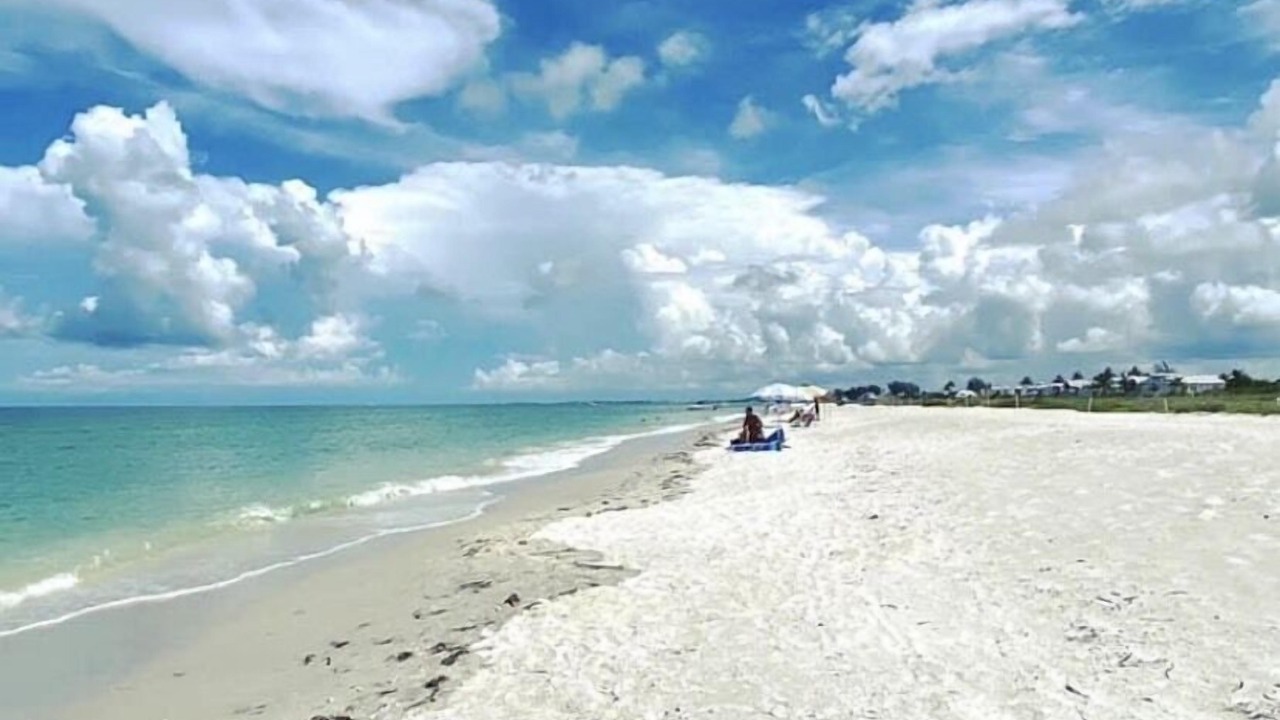 Photo of Others in Rotonda Sands
