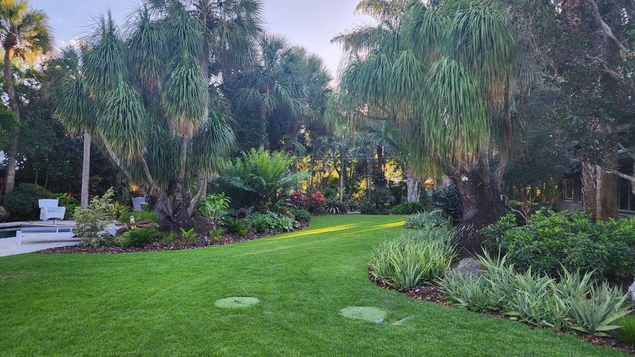 Photo of Outdoor in Palmetto Bay
