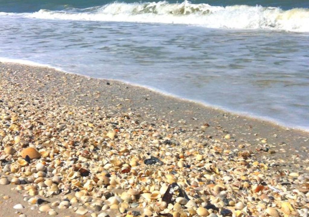 Photo of Others in Bonita Springs