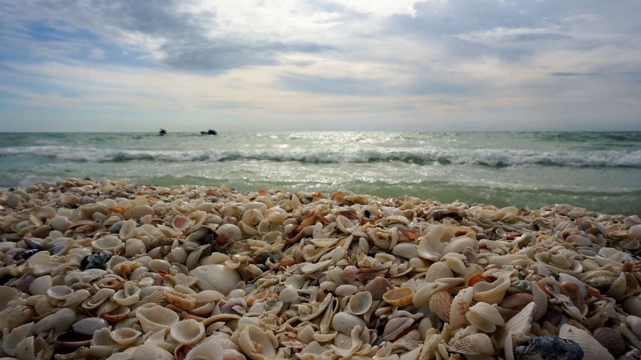 Photo of Others in Marco Island