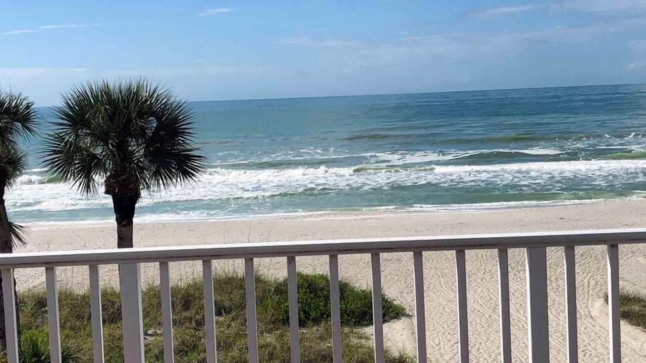 Photo of Others in Longboat Key