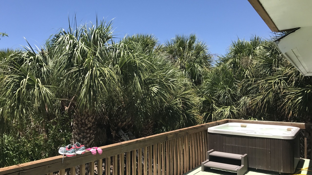 Photo of Outdoor in North Captiva