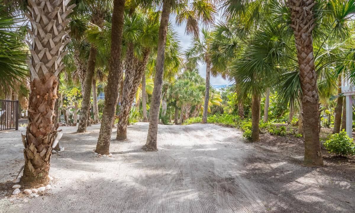 Photo of Outdoor in North Captiva