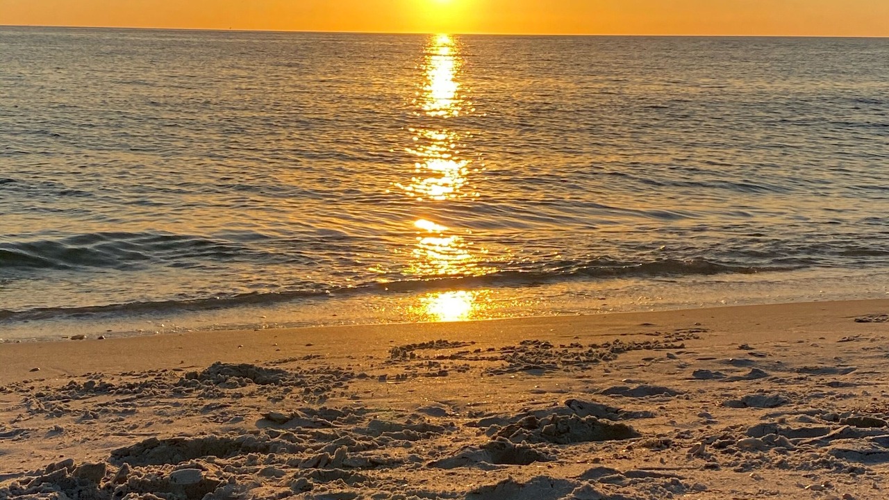 Photo of Others in North Captiva