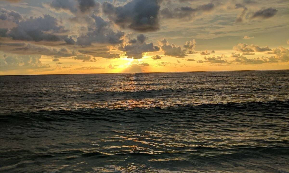 Photo of Others in North Captiva