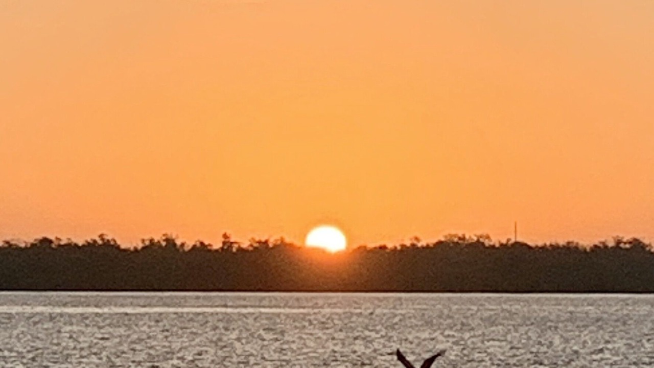 Photo of Others in Marco Island