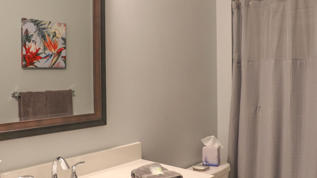 Photo of Bathroom in Dunedin
