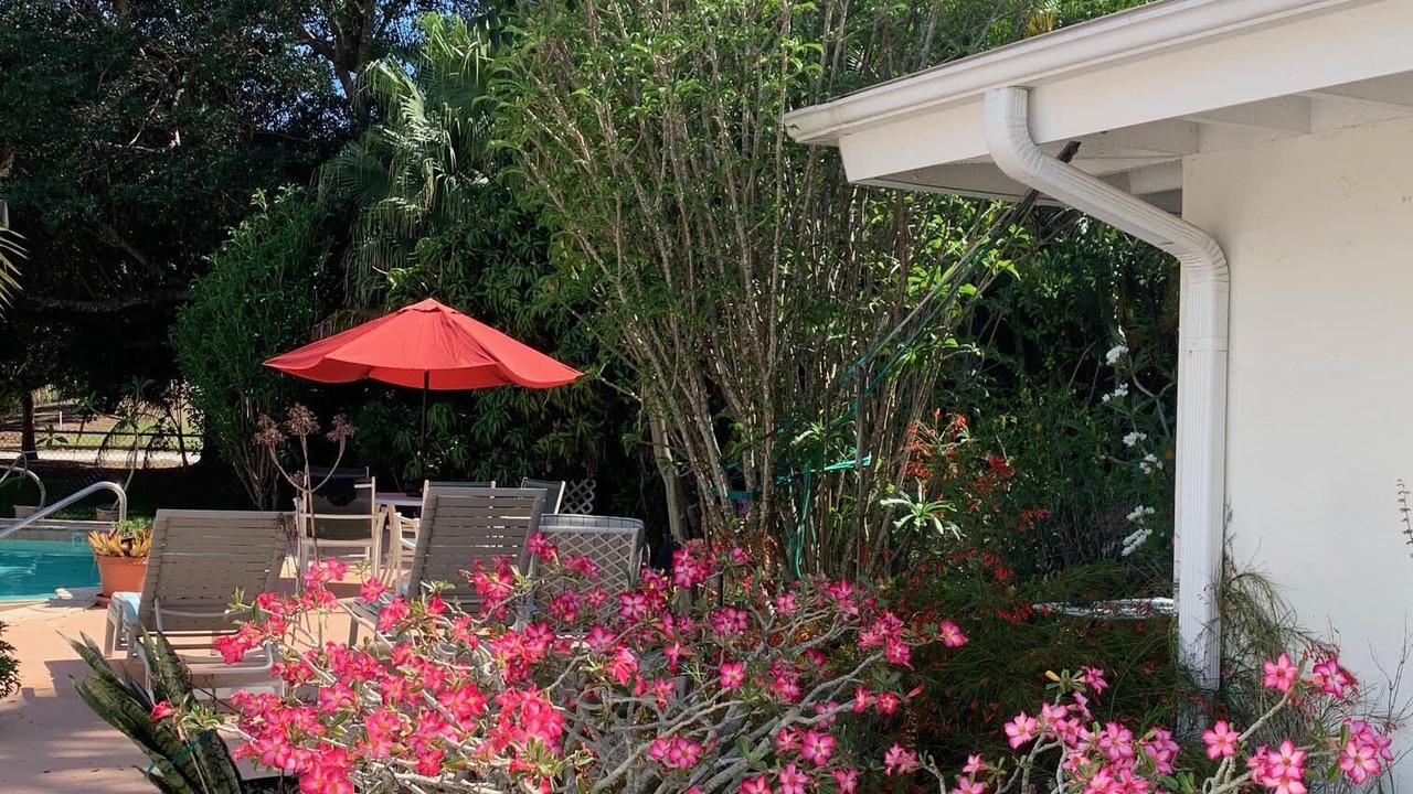 Photo of Outdoor in Coquina Sands