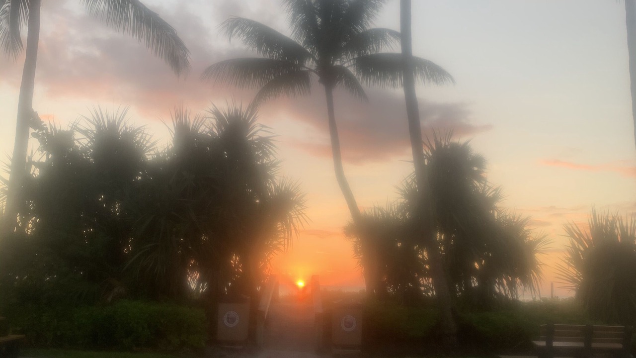 Photo of Outdoor in Coquina Sands