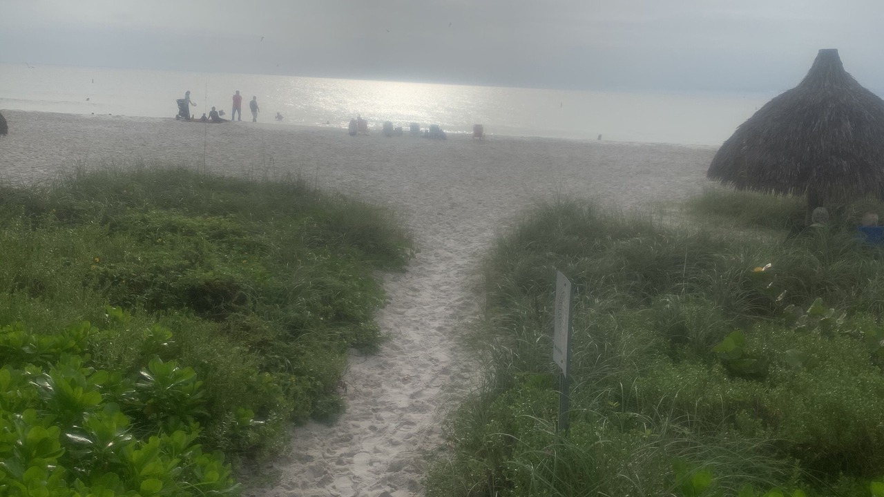 Photo of Others in Coquina Sands