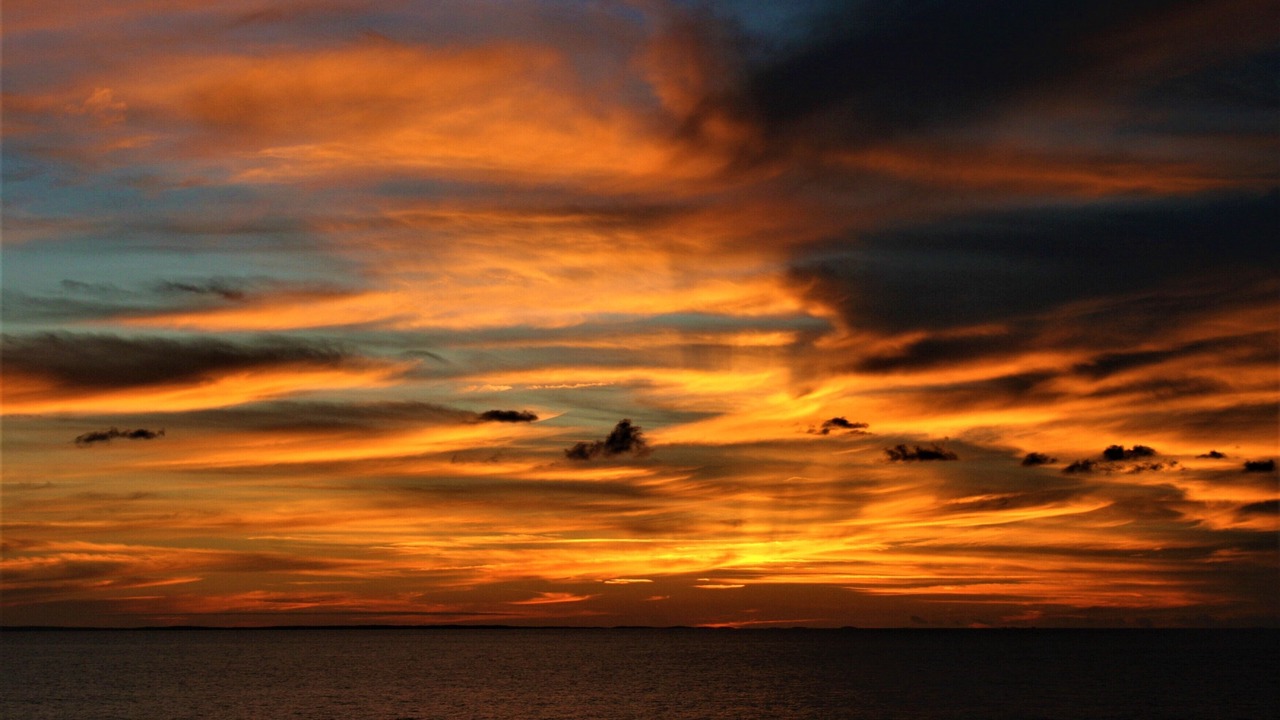 Photo of Others in Siesta Key
