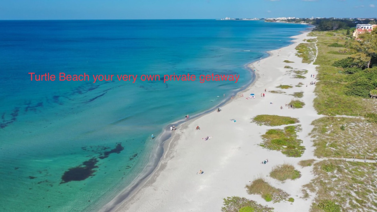 Photo of Others in Siesta Key