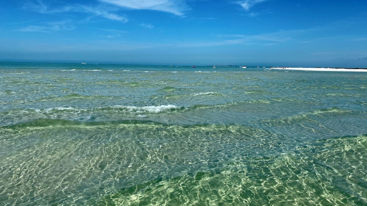 Photo of Others in Gulfport