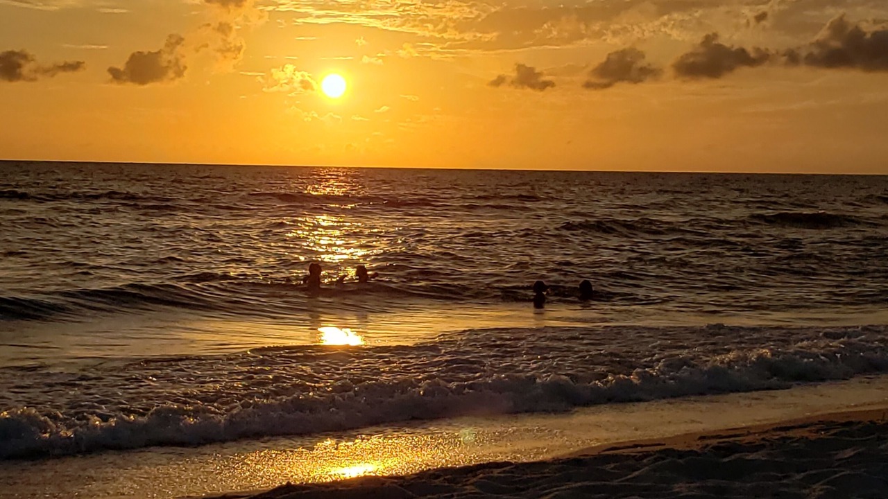 Photo of Others in Park Shore