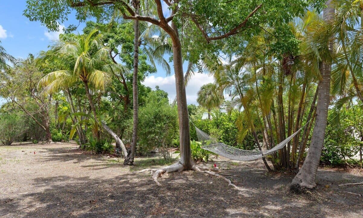 Photo of Others in Sanibel