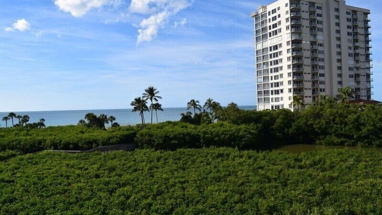 Photo of Others in Park Shore