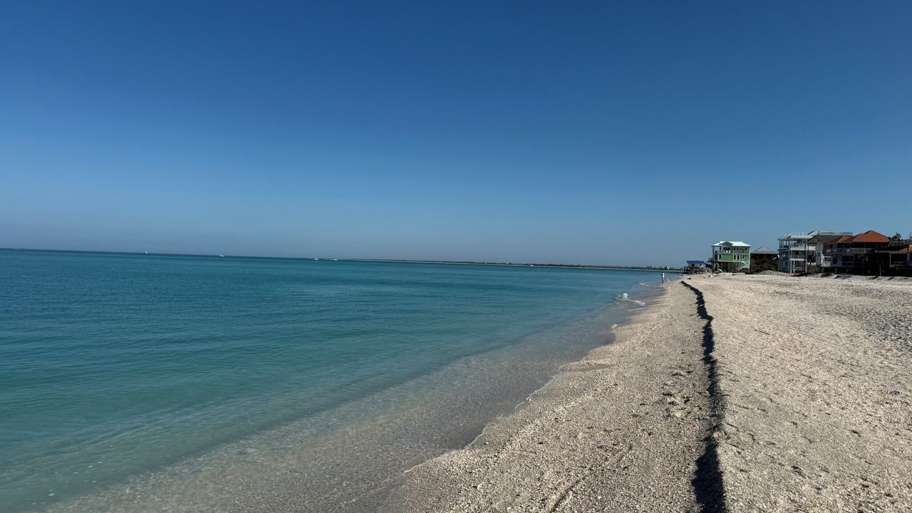 Photo of Others in Safety Harbor Club