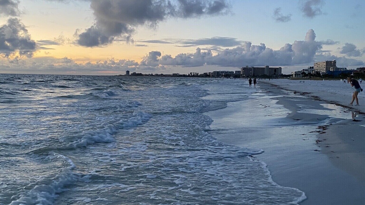 Photo of Others in Sarasota